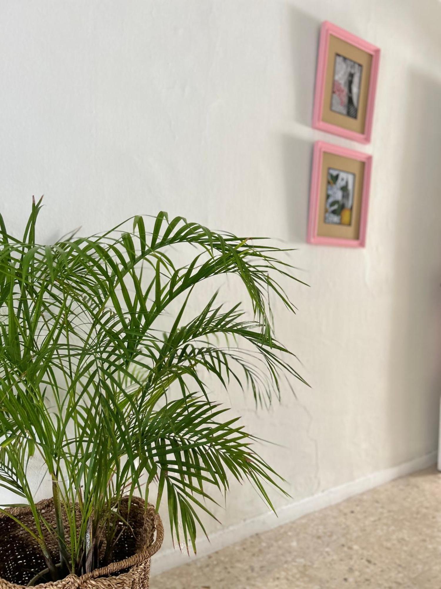 Arco Macarena Apartment Sevilla